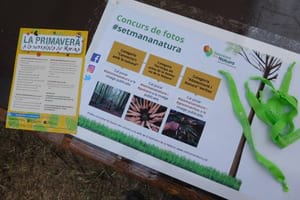 La primavera a la serralada de Marina. Autor: Enric Cahner