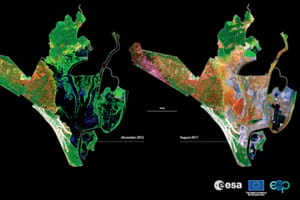Pantans a Doñana. Autor: USGS/NASA Landsat program