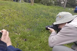 Usuaris de Natusfera . Autor: Pau Guzmán (CC BY-NC 3.0)