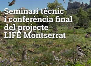 Seminari tècnic. Autor: LIFE Montserrat