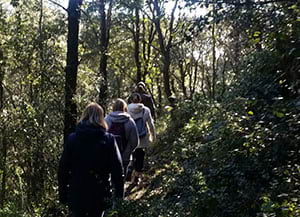 Persones passejant per un alzinar al Parc del <br/> Montnegre i el Corredor. Autor: XPN