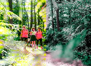 Programa 'Healthy parks, healthy people'. <br />Autor: EUROPARC