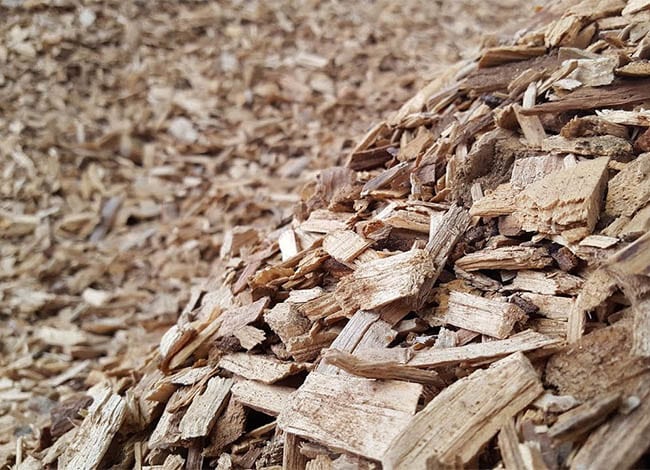 Estella, un dels productes de la biomassa forestal. Autor: XPN