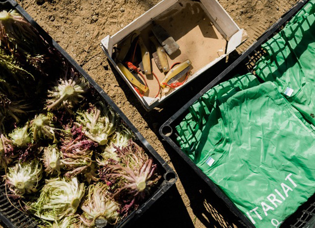 Detall del material de voluntariat. Autor: Espigoladors