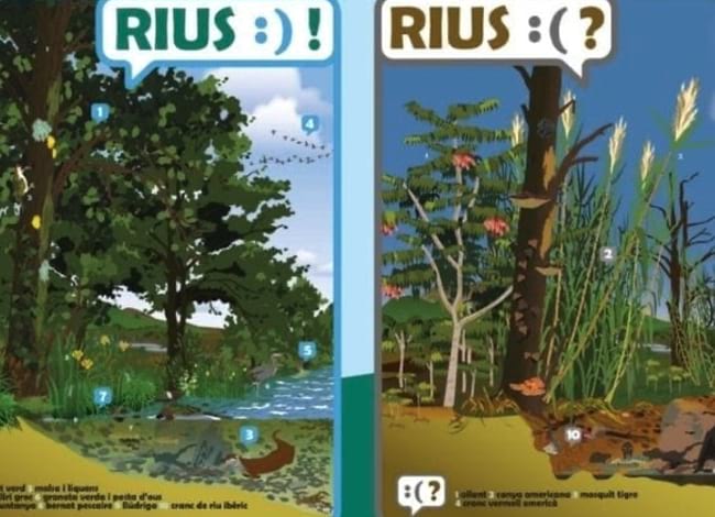 Detall del recurs 'Rius :)! Rius :(?'. Autor: Medi Ambient. DIputació de Barcelona