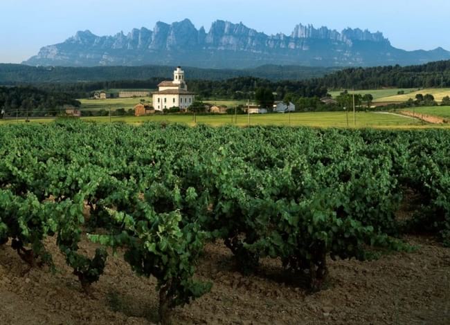 Terra tindrà lloc a la Torre Lluvià, Anella Verda Manresa. Autor: Setmana de la Natura
