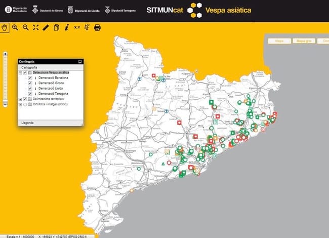 Visor nius vespa asiàtica a la plataforma SITMUN / Diputació de Barcelona