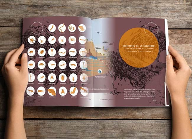 El llibre, amb il·lustracions i fotografies. Autor: Societat Aragonesa d'Entomologia