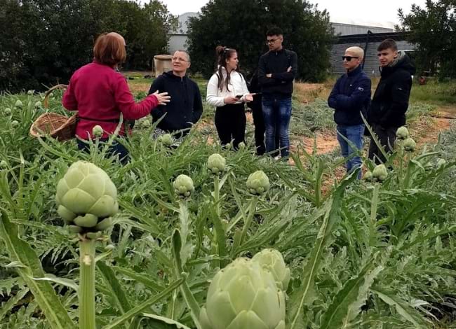 Visita dels alumnes d'intercanvi al productor Sínia Pujadas (Vilanova i la Geltrú). Autor: Depana
