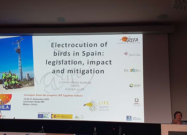 Una de les presentacions. Autor: XPN