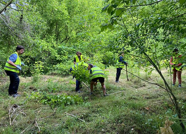 Voluntaris duent a terme la neteja i control de vegetació. Autor: Cercle de Voluntaris de la Xarxa de Parcs Naturals
