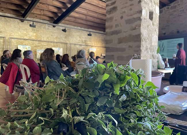 Activitat sobre cosmètica amb plantes silvestres. Autor: XPN