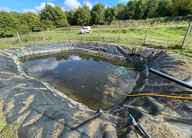 Amb les actuacions recents, s'ha millorat l'estat de la bassa, instal·lada el 2020. Autoria: SCH