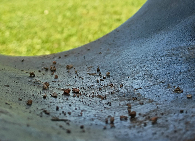 Premi a la categoria de menors de 12 anys sota el tema 