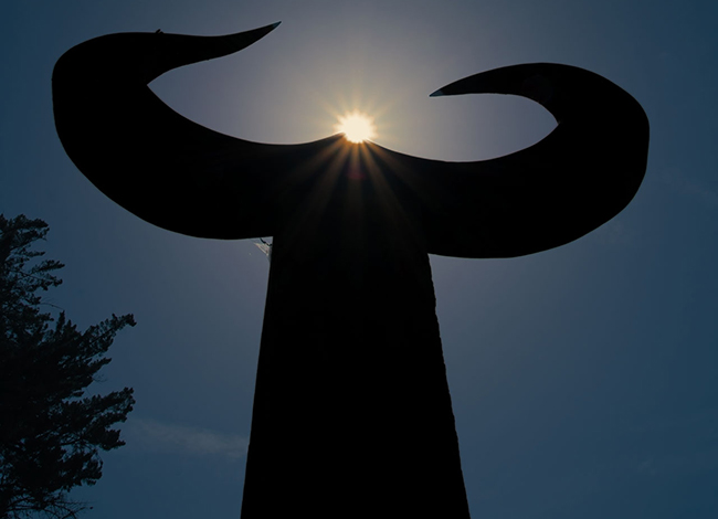 Premi a la millor col·lecció sota el tema 