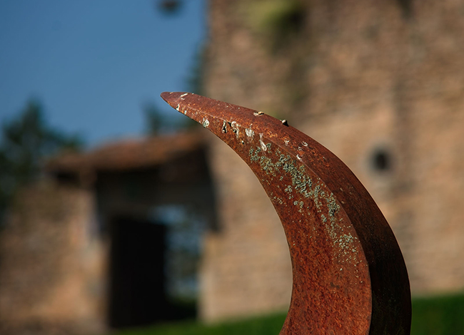 Premi a la millor col·lecció sota el tema 