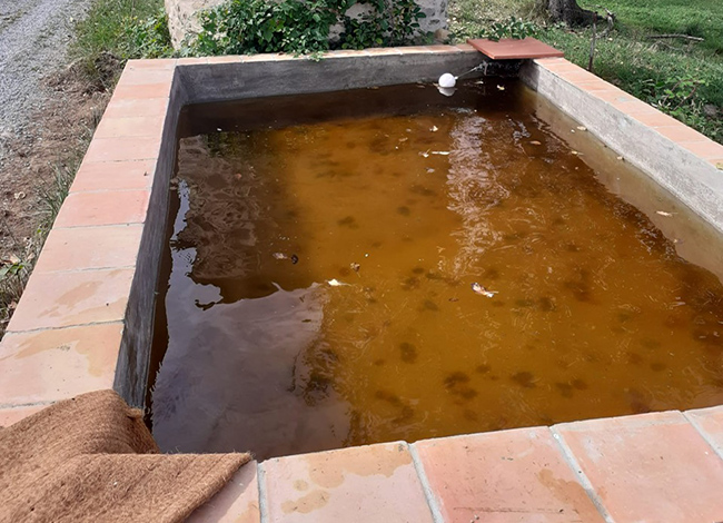 Imatge del safareig del Parc el 2024. Autoria: Personal del Parc del Castell de Montesquiu