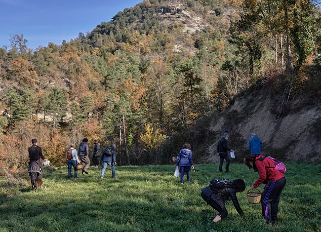 Sortida de bolets al Parc del Castell de Montesquiu. Autor: XPN