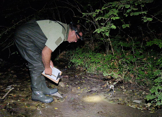 Prospecció d'una riera. Autor: Paisatges Vius