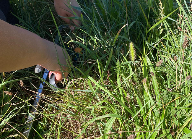 Treball de camp. Autor: XPN