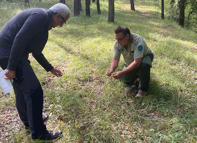 Un moment del recompte. Autor: XPN