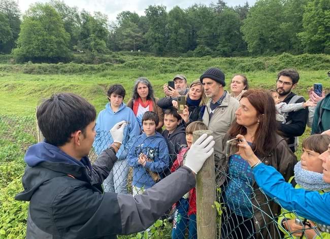 Hi va haver activitats sobre els amfibis. Autor: XPN