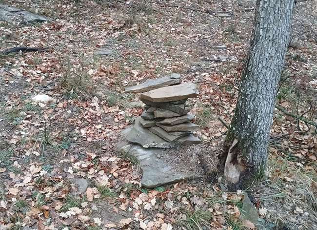 Un munt de pedres situades al costat d'un arbre. Autor: XPN