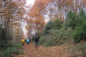 Marxa nòrdica a Montesquiu. Autor: XPN