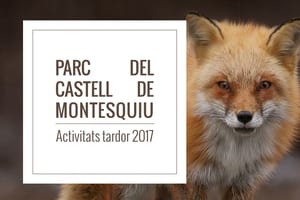 Programa de tardor. Autor: XPN