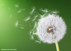 Cartell de la Jornada. Autor: Sutterstock.com / Bess Hamitiï