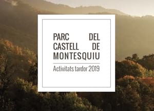 Detall del fullet. Autor: Oriol Clavera