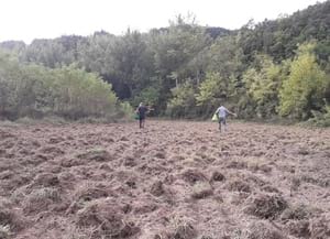 Ressembrant les llavors. Autor: XPN