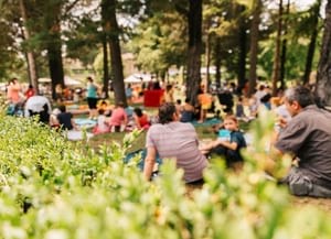 Música a la gespa 2019. Autor: Gil Ayats