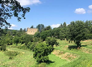 Els cables de la línia passen prop del castell.<br />Autor: XPN