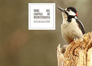 Cartell de la programació. Autor: XPN