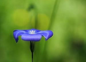 Imatge del Ral·li d'enguany.<br />Autor: Lluís Juanola Garriga