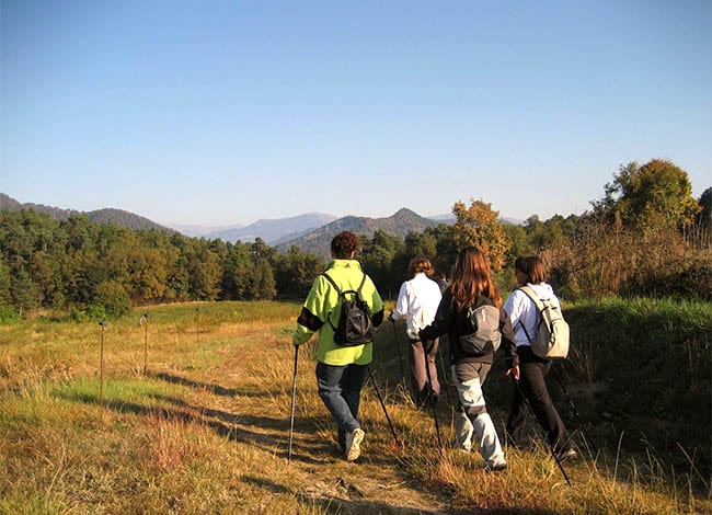 Ruta de marxa nòrdica al Parc del Castell de Montesquiu.<br />Autora: Maria Soler