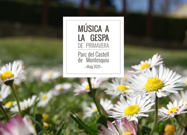 Detall del cartell del 'Música a la gespa' de primavera. <br />Autor: XPN