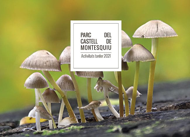 Cartell de les activitats de tardor.<br />Autor: XPN