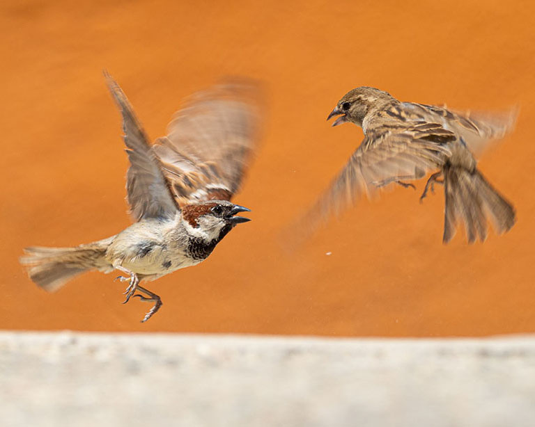13è Concurs de fotografia del Parc de la Serralada de Marina