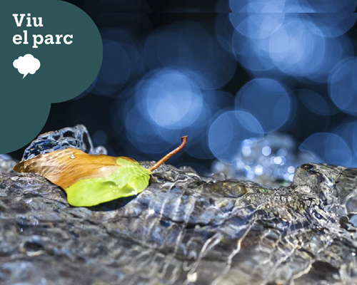 26è Ral·li Fotogràfic del Parc del Castell de Montesquiu