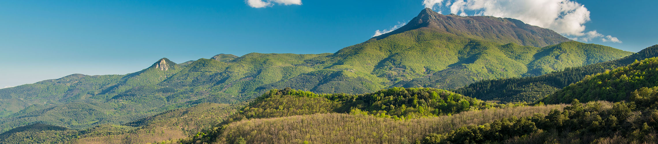 Parc Natural i Reserva de la Biosfera del Montseny