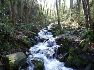 Museu d'Art de Cerdanyola
