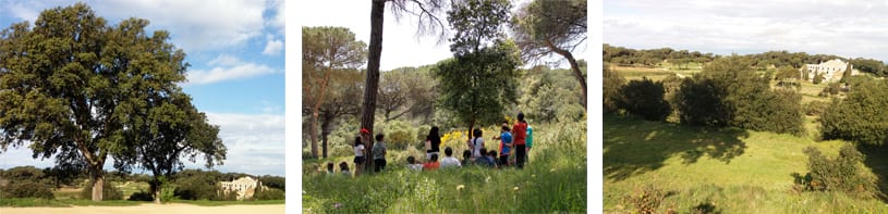Entorns de la Casa Nova de l'Obac