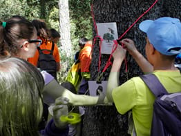 Activitat sobre els bosc i les seves relacions