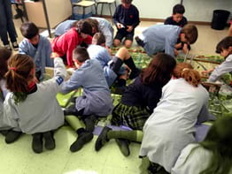 Treball a l'aula. Distribució dels alumnes a l'aula