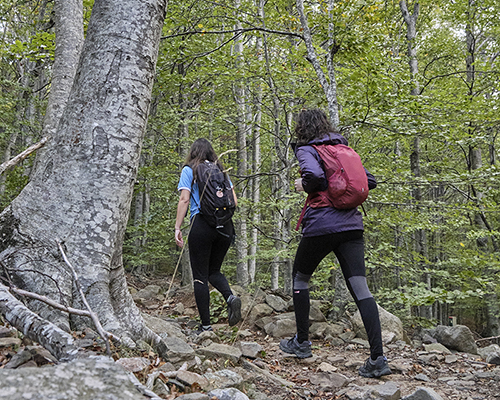 Passejades guiades 2025. Gaudiu del Parc Natural amb una nova mirada