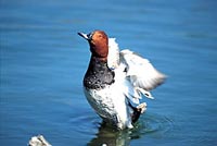 Autor: Iñaki Relanzón