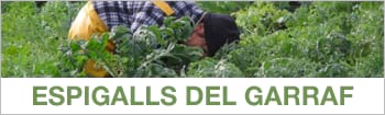 Espigalls del Garraf