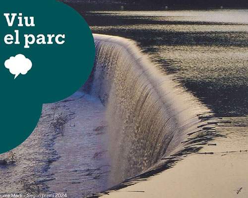 XXXI Concurs de Fotografia Viu el parc dels Parcs del Garraf, d'Olèrdola i del Foix